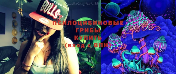 молекула духа Алексин