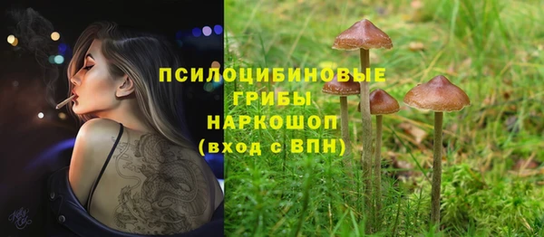 бутират Алексеевка