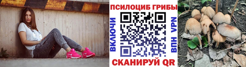 Псилоцибиновые грибы ЛСД Ступино